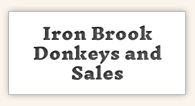 Donkey Sales